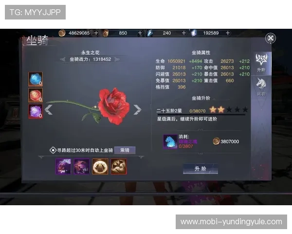 如何使用yd5288云顶账号快速登录提升游戏体验新技巧分享