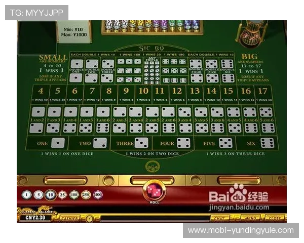 全面解析骰宝游戏规则与常见玩法，帮助玩家快速入门掌握核心技巧